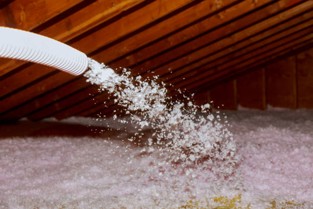 Best Insulation Replacement Services  in Steger, IL