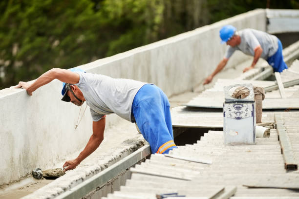 Best Cellulose Insulation  in Steger, IL